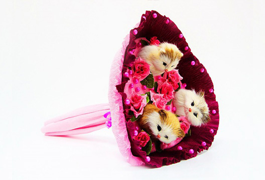 Букет из плюшевых котят 3