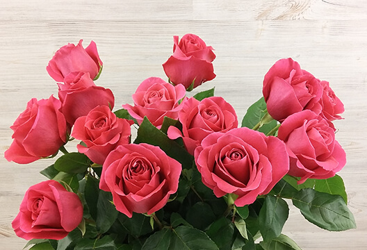 Ярко-розовая роза (Голландия, 50 см)